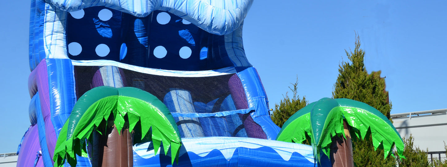 Why Homeowners Love These Inflatable Water Slides for Backyard Parties