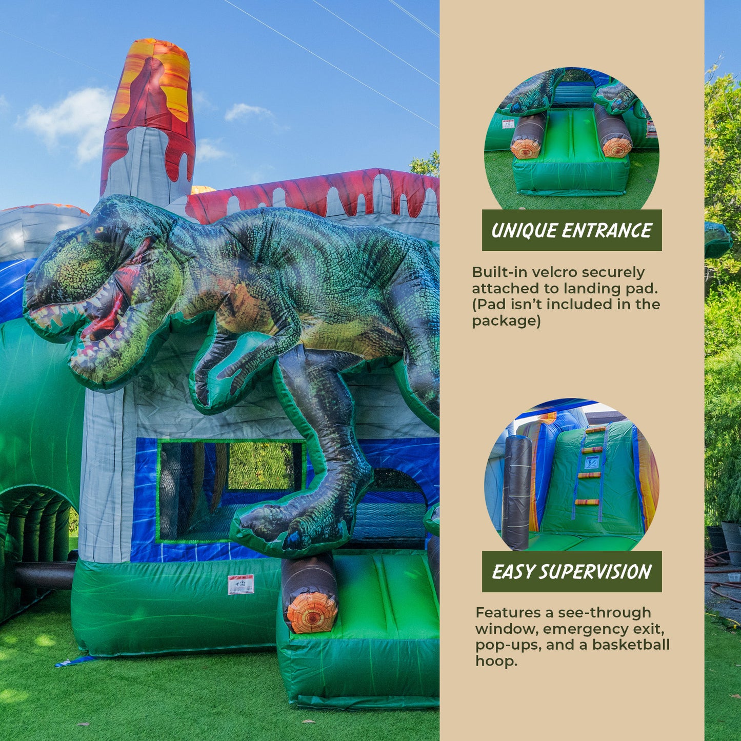 Commercial Grade Dinosaur Detachable Deep Pool Combo